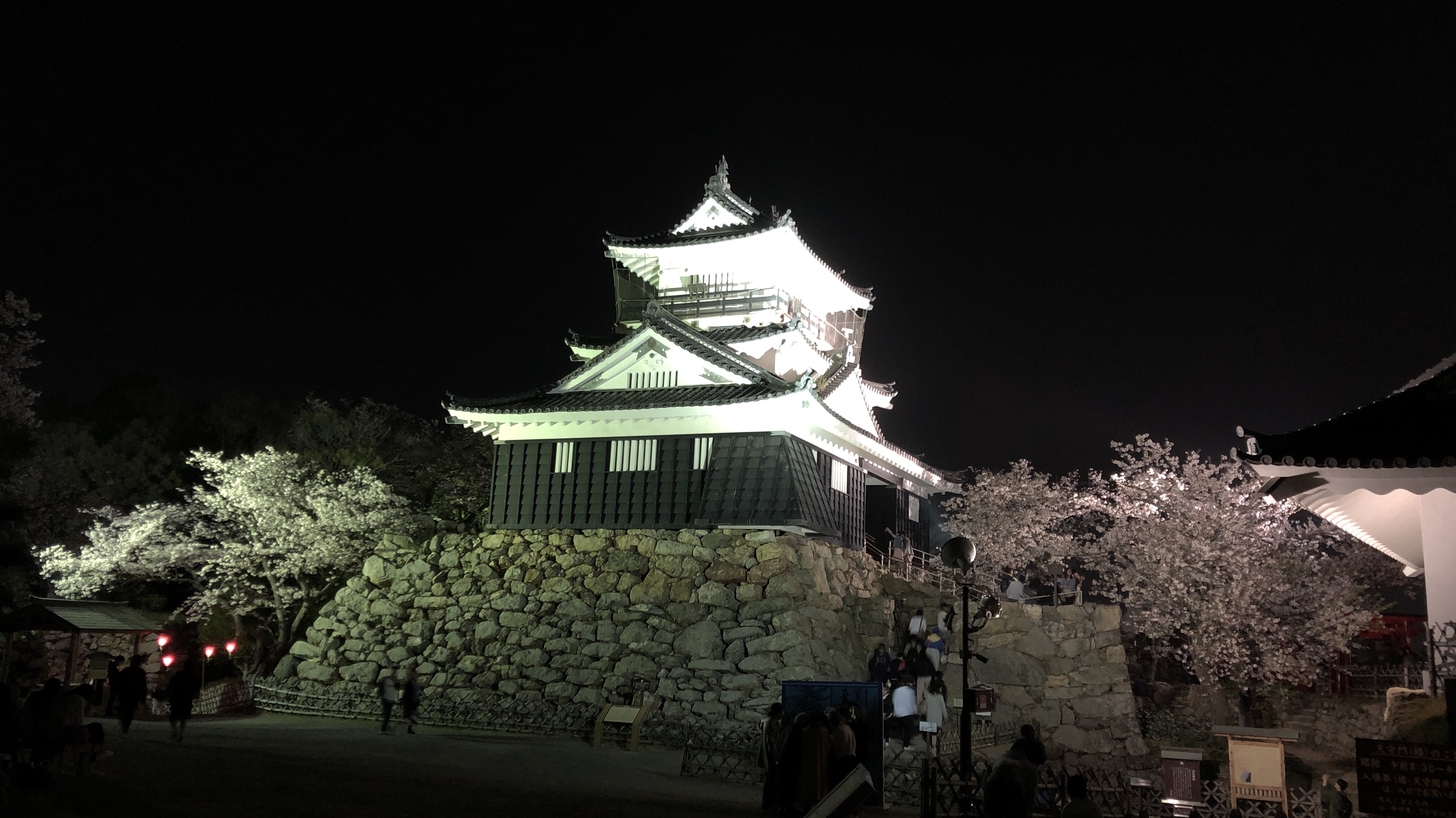 桜 浜松市 浜松城