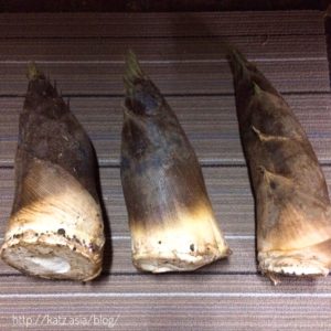タケノコをいただきました。