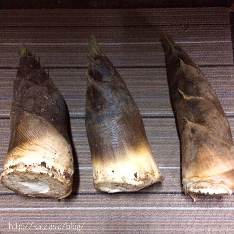 タケノコをいただきました。