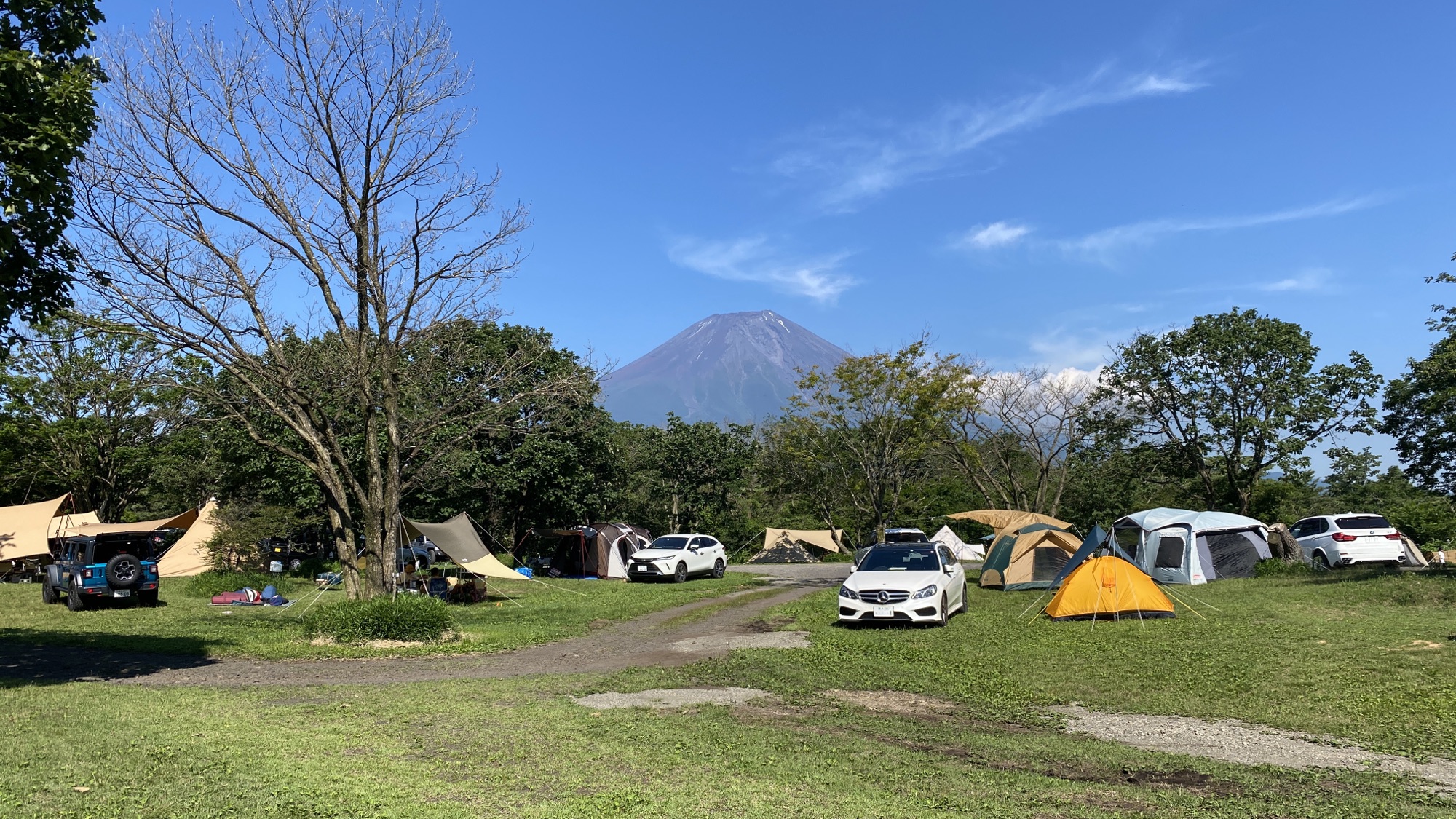 仕事仲間とキャンプ